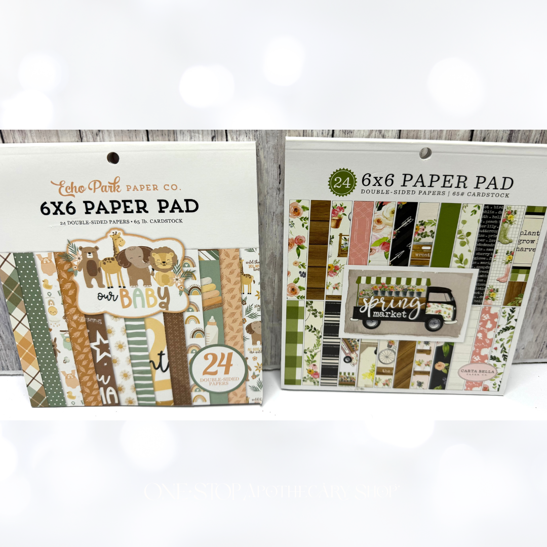 Echo Park OUR BABY Birthday Autumn Spring 6x6 Cardstock Paper