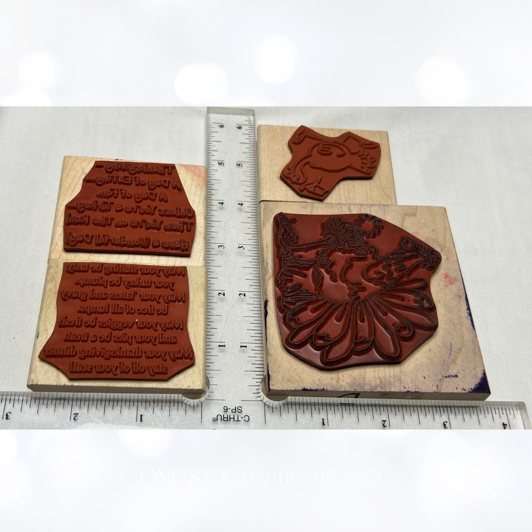 Judith DRS Designs TURKEY Thanksgiving Funny Rubber Stamps Lot of 4