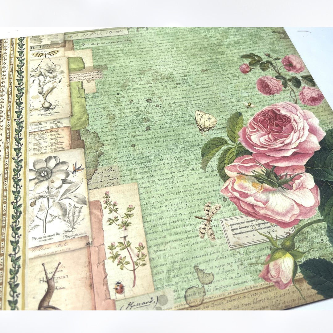 Stamperia SPRING BOTANIC Botanical 12x12 Cardstock Paper Lot of 2
