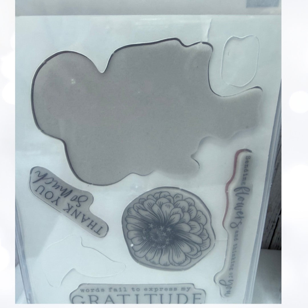 Stampin Up SIMPLY ZINNIA Flowers Rubber Stamps Dies Embossing Folder