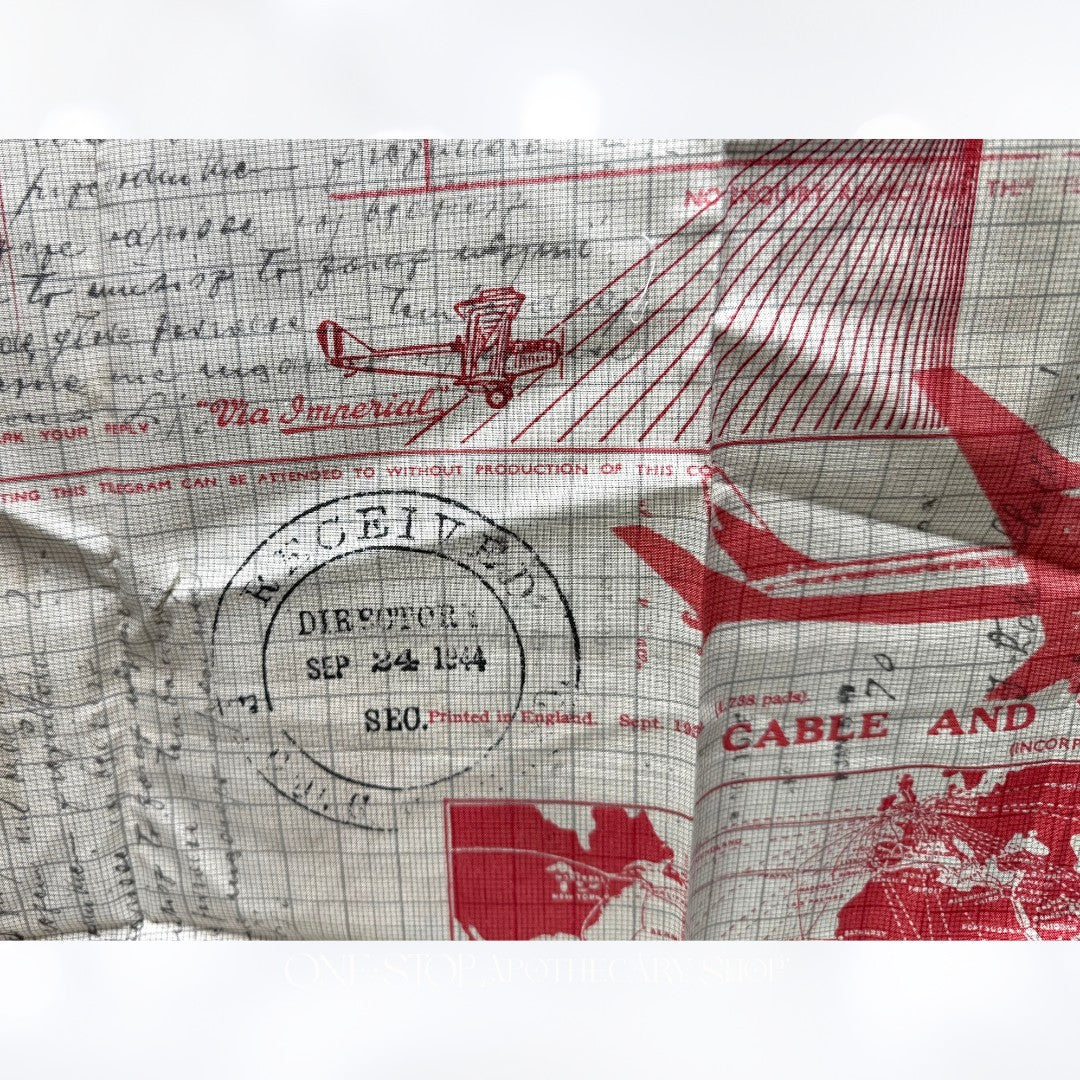 Tim Holtz VINTAGE TRAVEL Planes Mixed Media Fabric 30x23 Inches