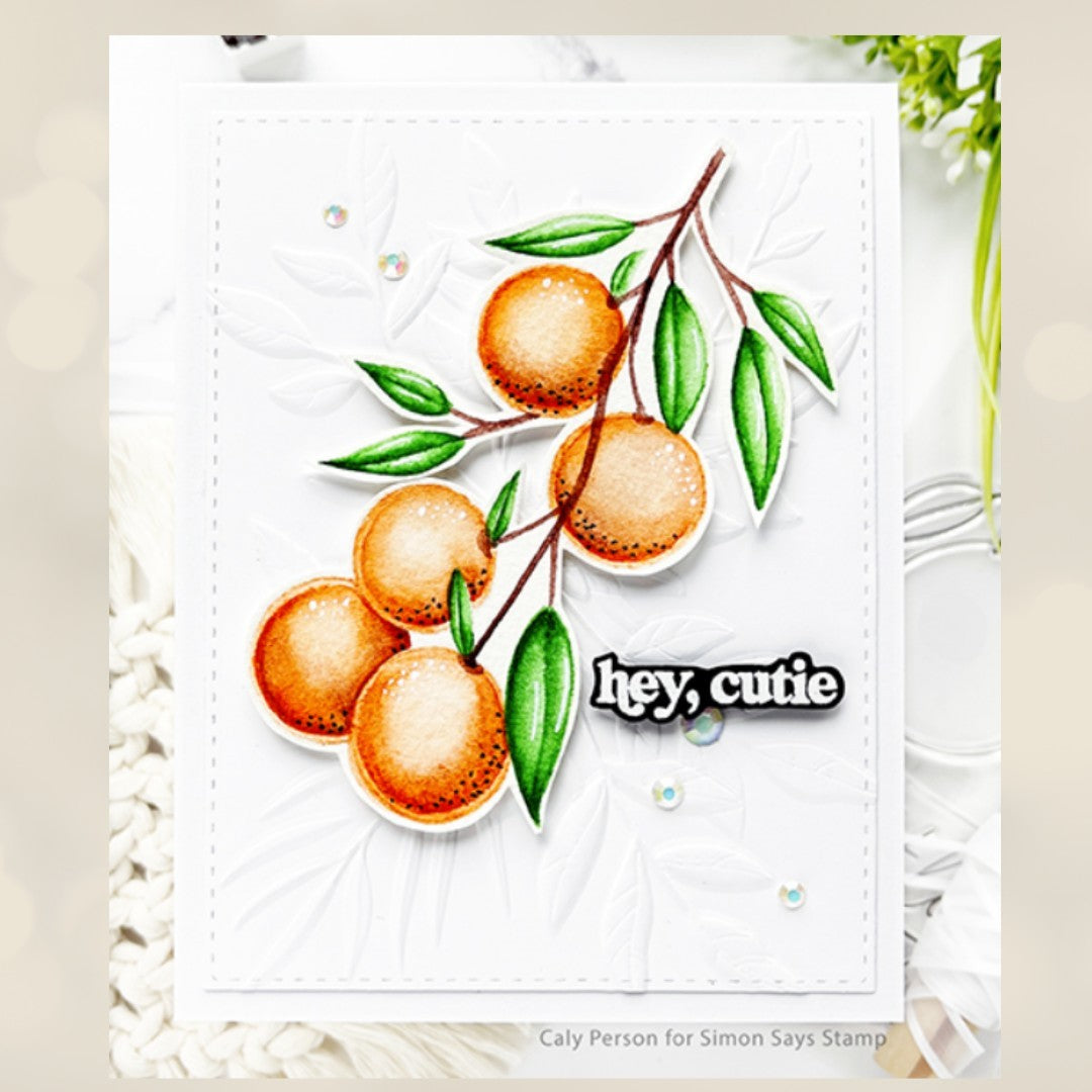 Gina K Designs LITTLE CUTIE Oranges Fruit 6x8 Rubber Stamps