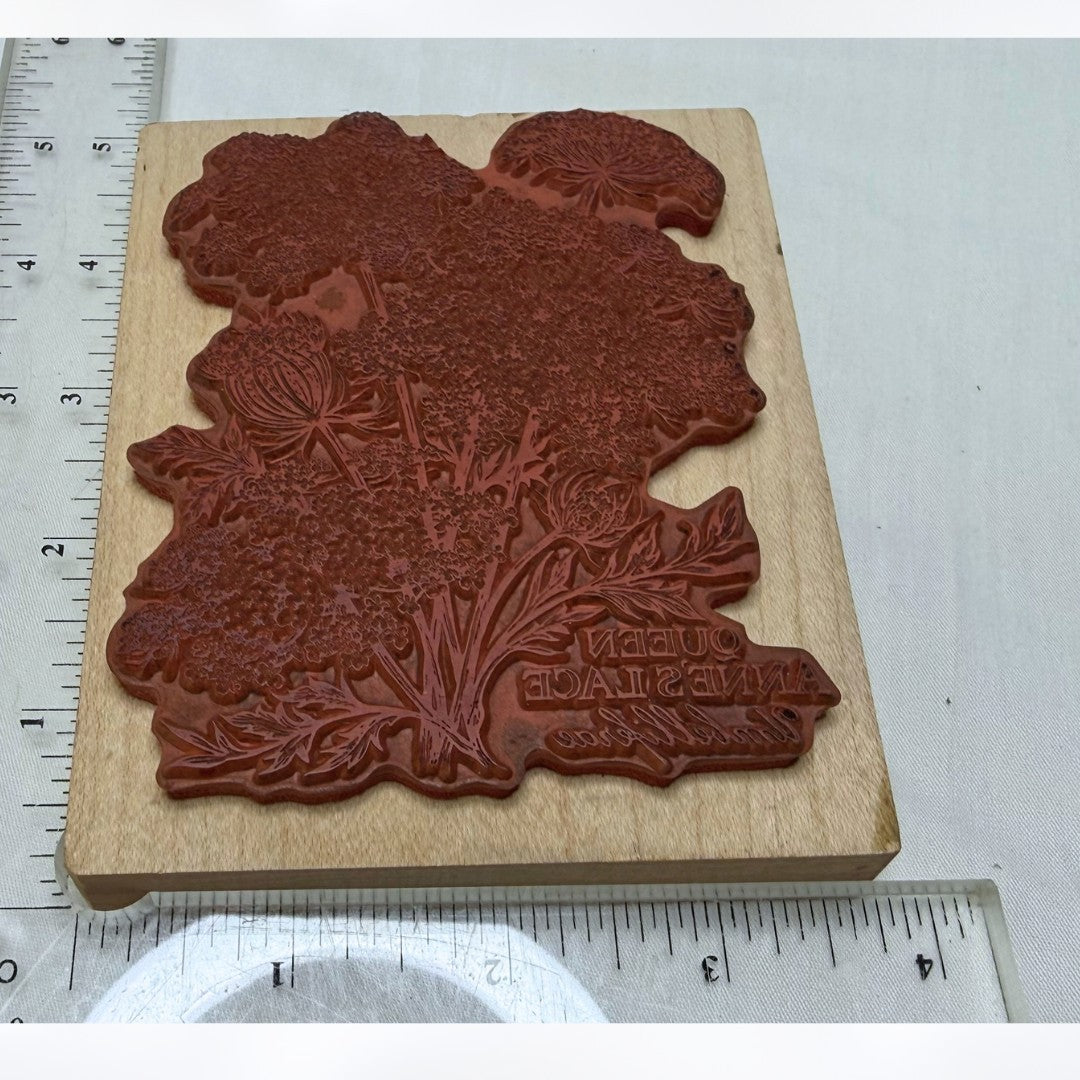 PSX Designs QUEEN ANNE'S LACE Botanical Floral Flowers K-2048 Rubber Stamp