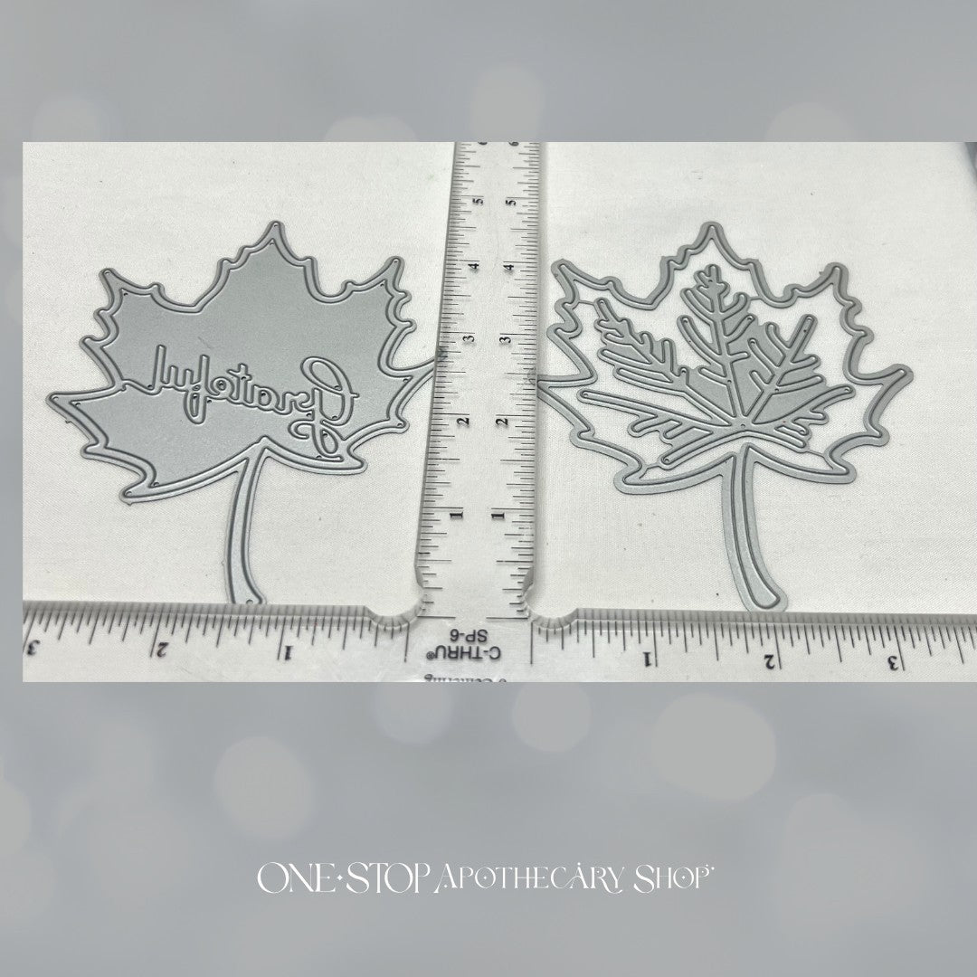 Papertrey Ink GRATEFUL LEAVES Autumn Fall Rubber Stamps Dies