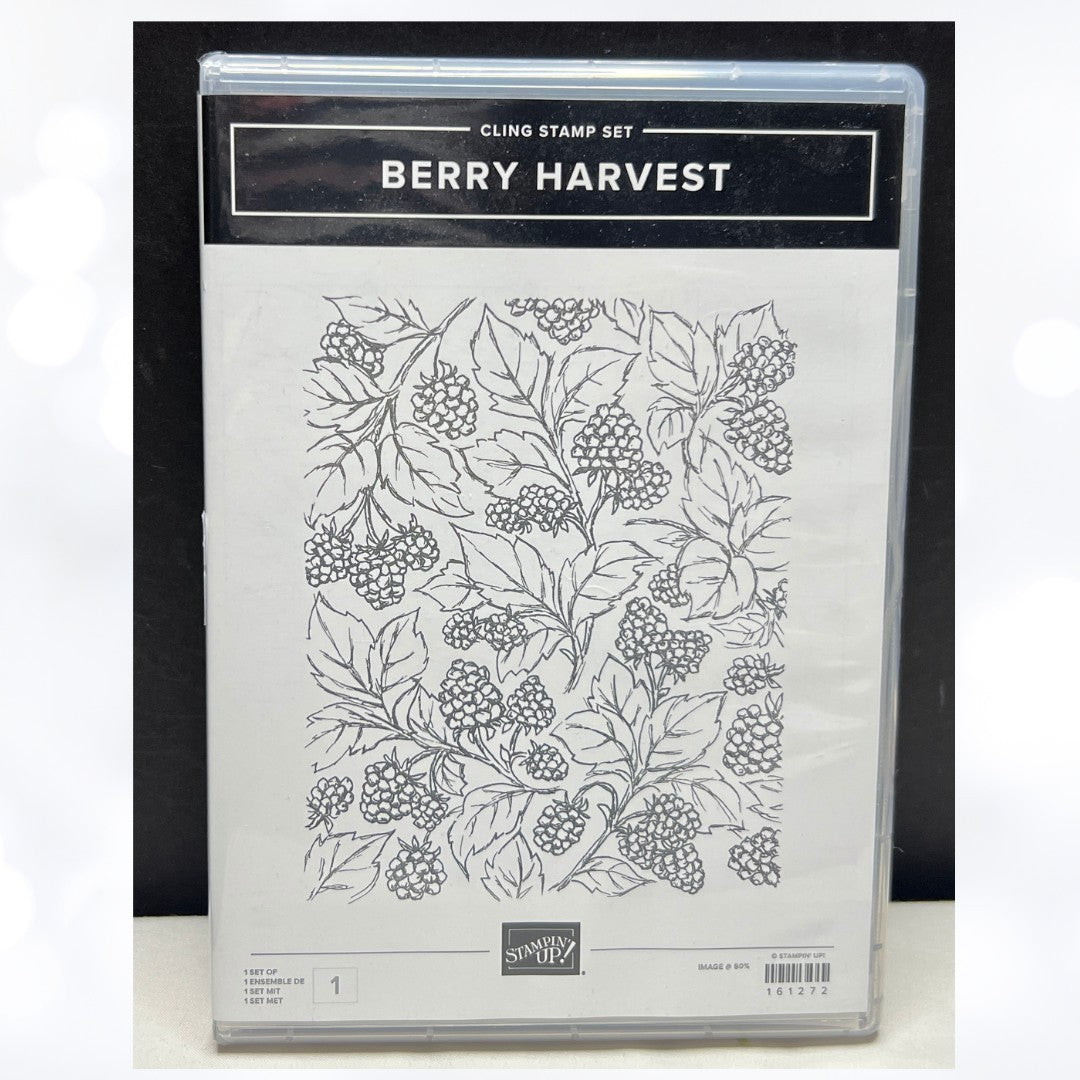 Stampin Up BERRY HARVEST Grapevine Fruit Background Rubber Stamp