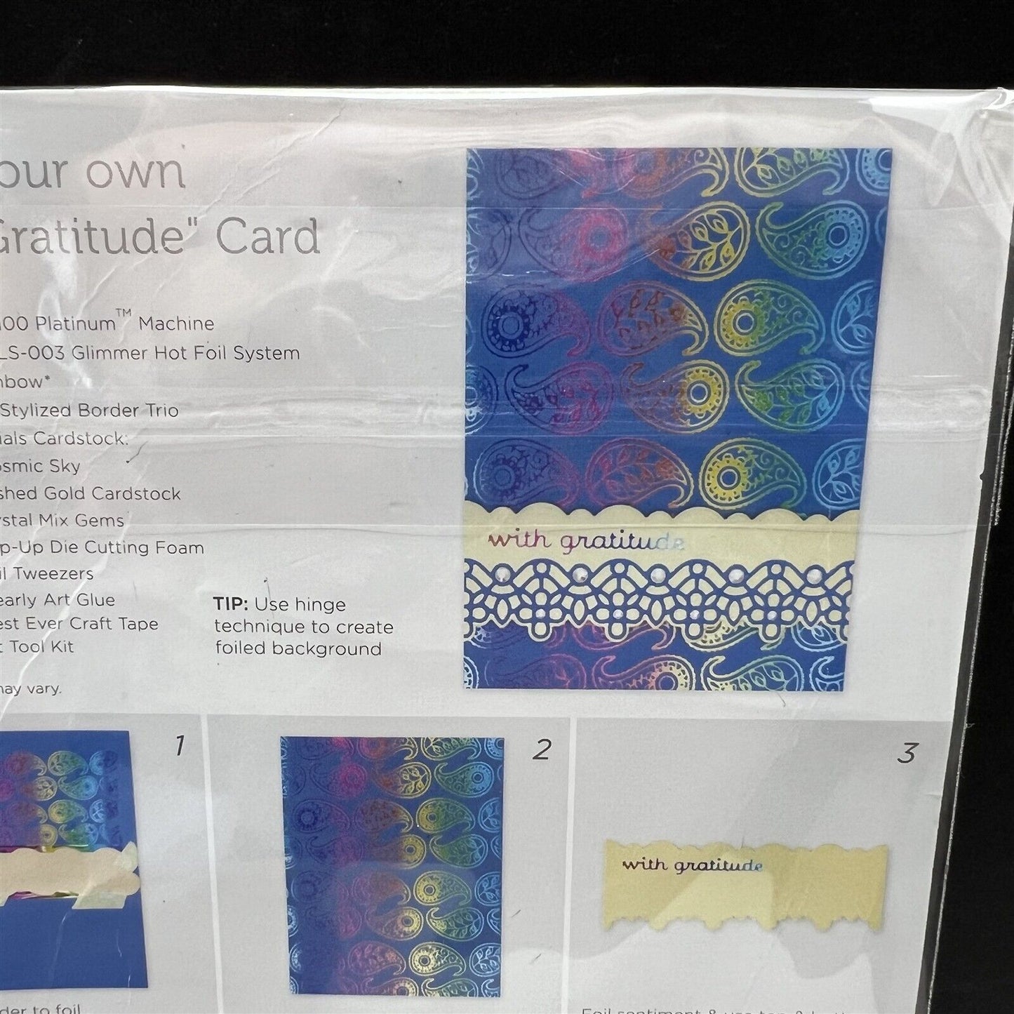 Spellbinders GLIMMER OF THE MONTH Paisley Floral Dec 2020 Hot Foil Plates