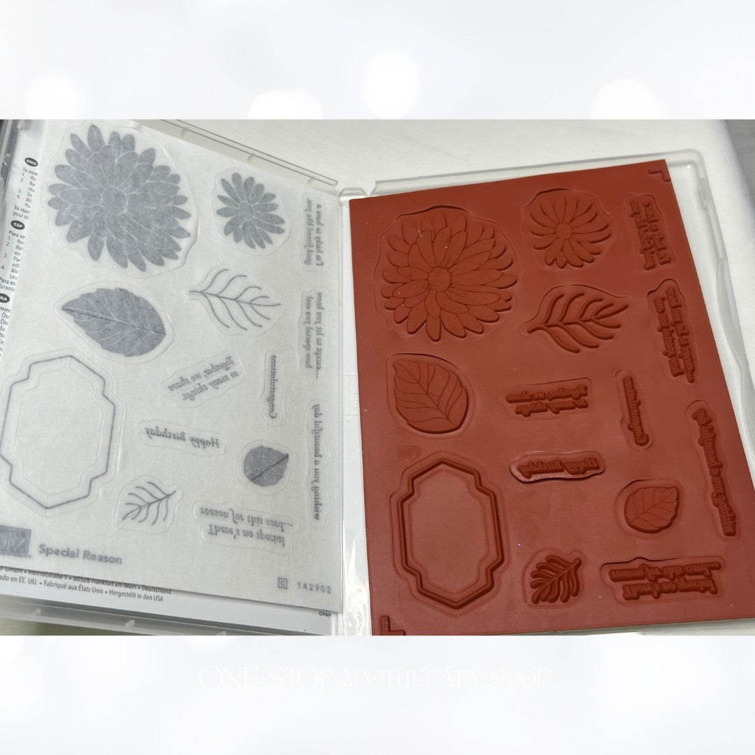 Stampin Up SPECIAL REASON Stylish Stems Framelits Rubber Stamps Dies AS IS**