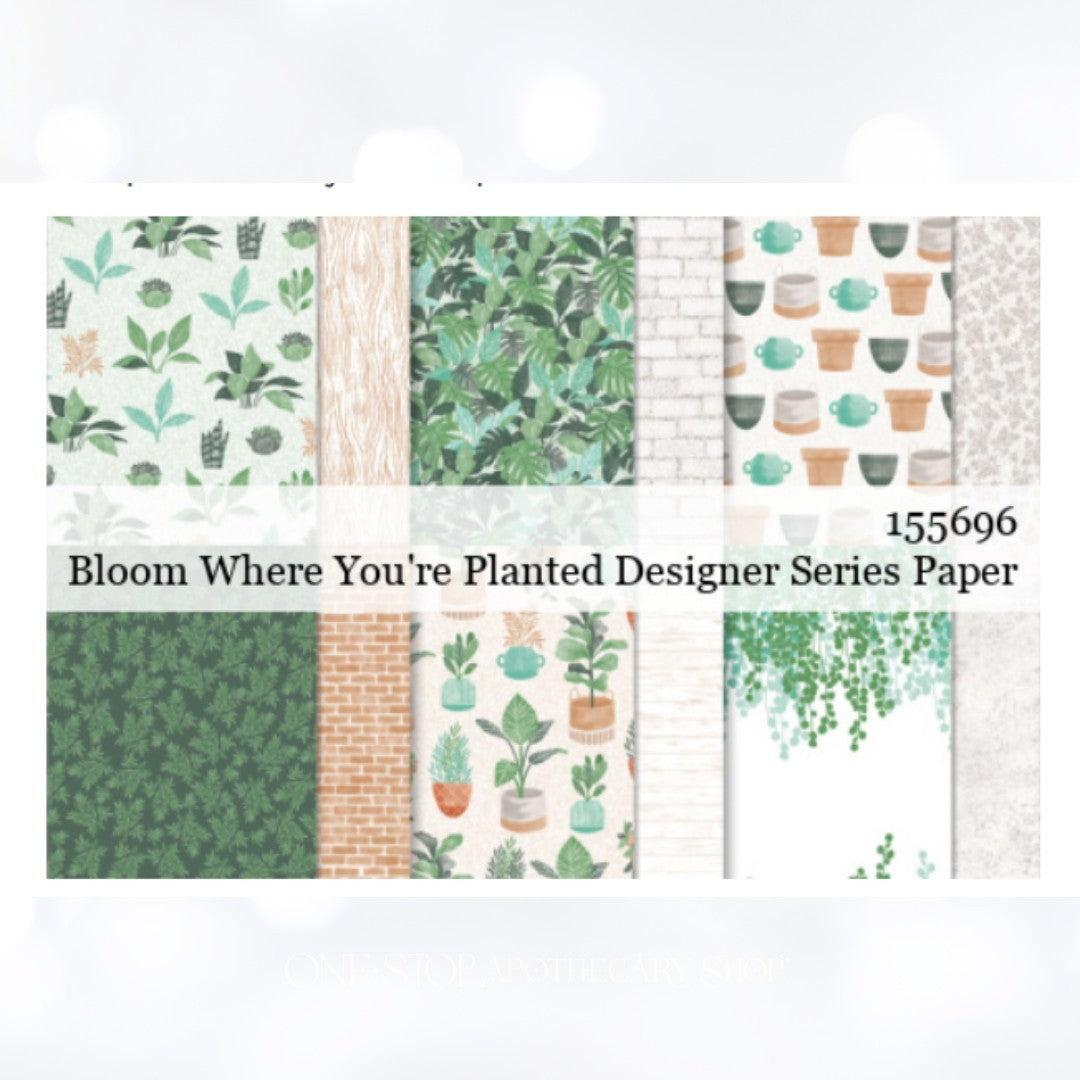 Stampin Up BLOOM WHERE YOU'RE PLANTED Plants 12x12 DSP Cardstock Paper 12 Sheets