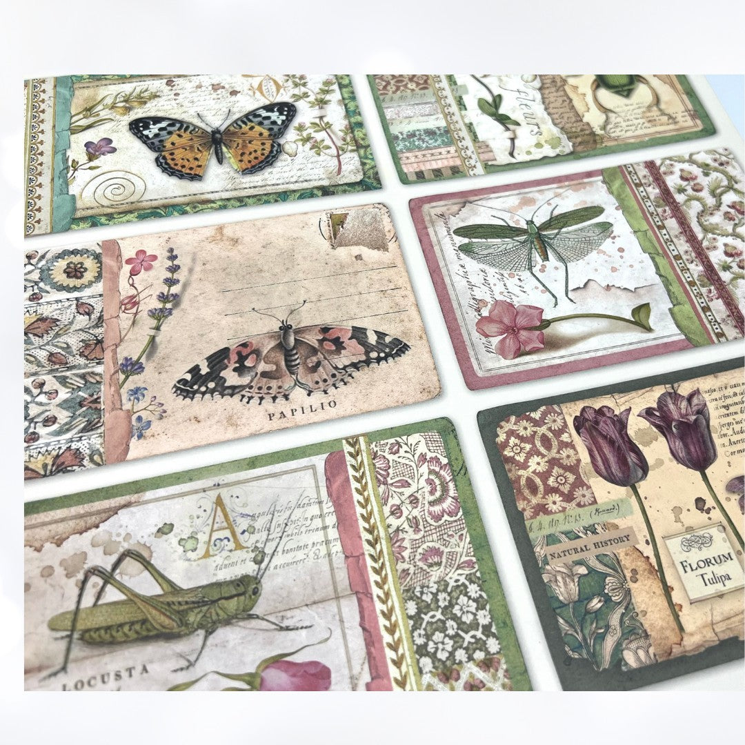 Stamperia SPRING BOTANIC Botanical 12x12 Cardstock Paper Lot of 2