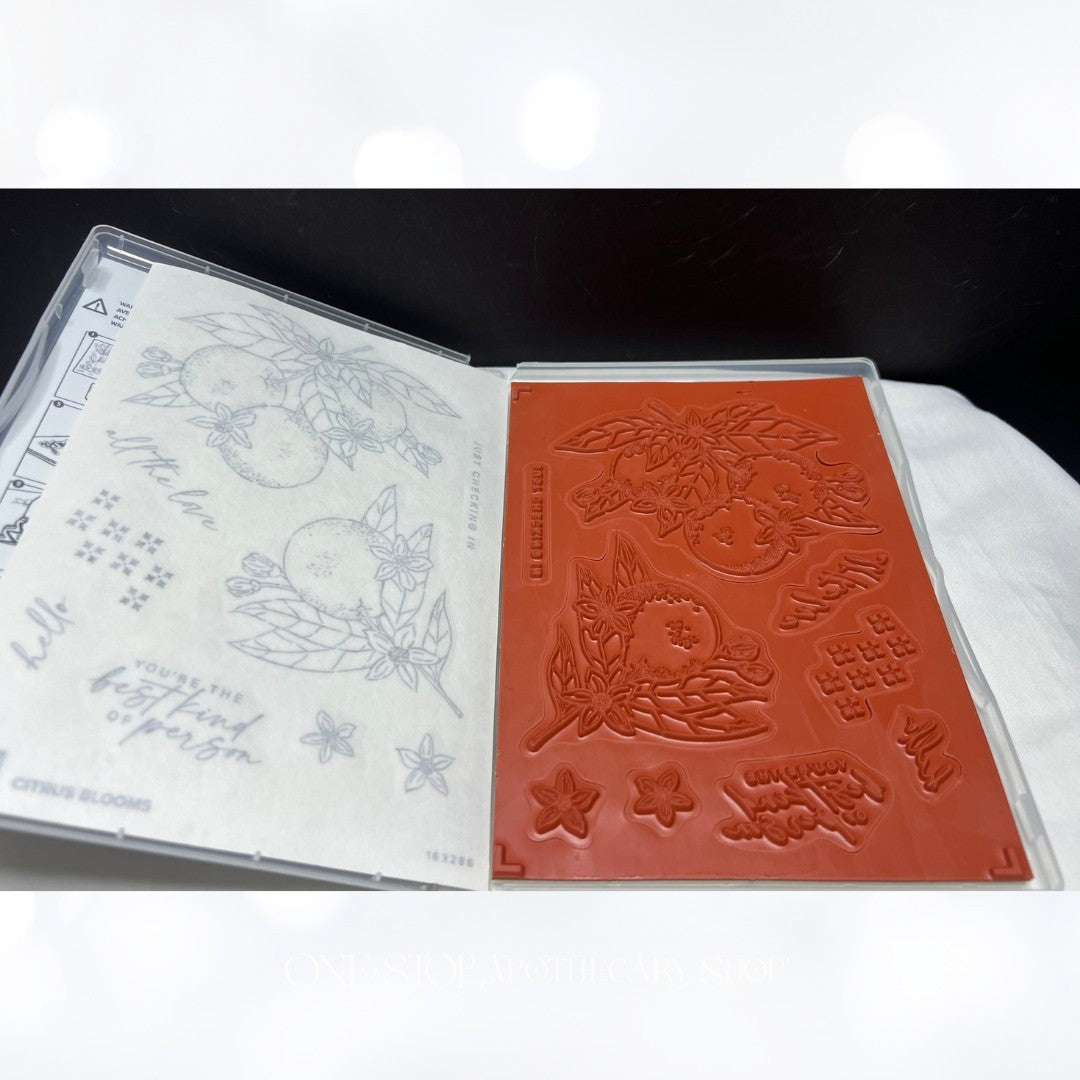 Stampin Up CITRUS BLOOMS Oranges Fruit Rubber Stamps Dies
