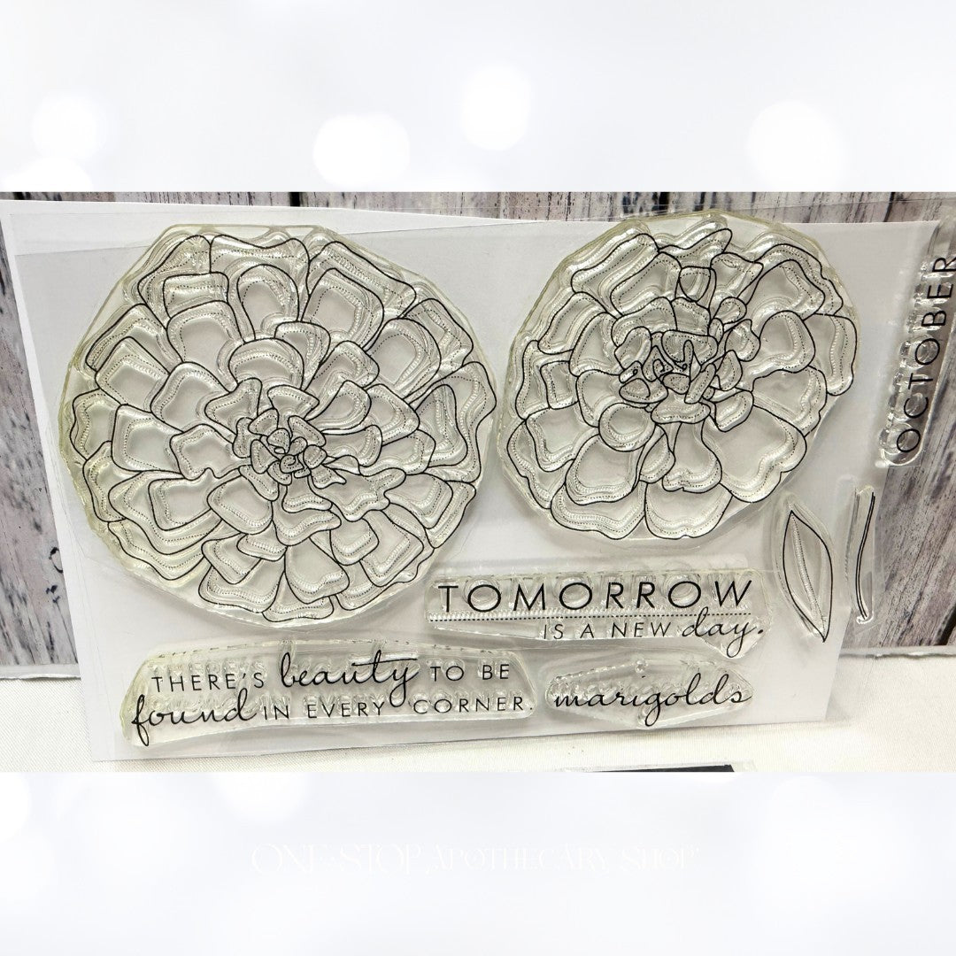 Papertrey Ink YEAR OF FLOWERS MARIGOLDS Floral Rubber Stamps Dies