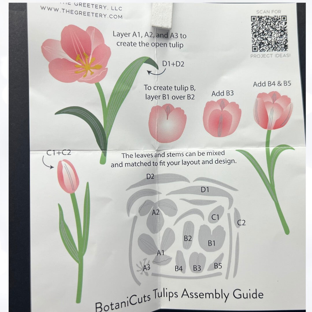 The Greetery BOTANICUTS TULIPS Flowers Spring Dies