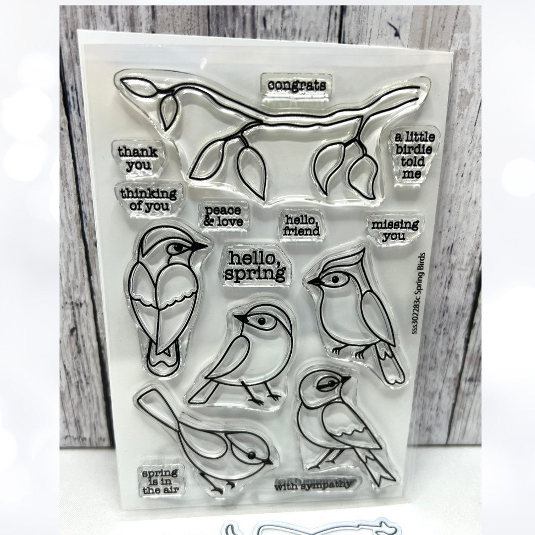 Simon Says Stamp SPRING BIRDS Rubber Stamps Dies