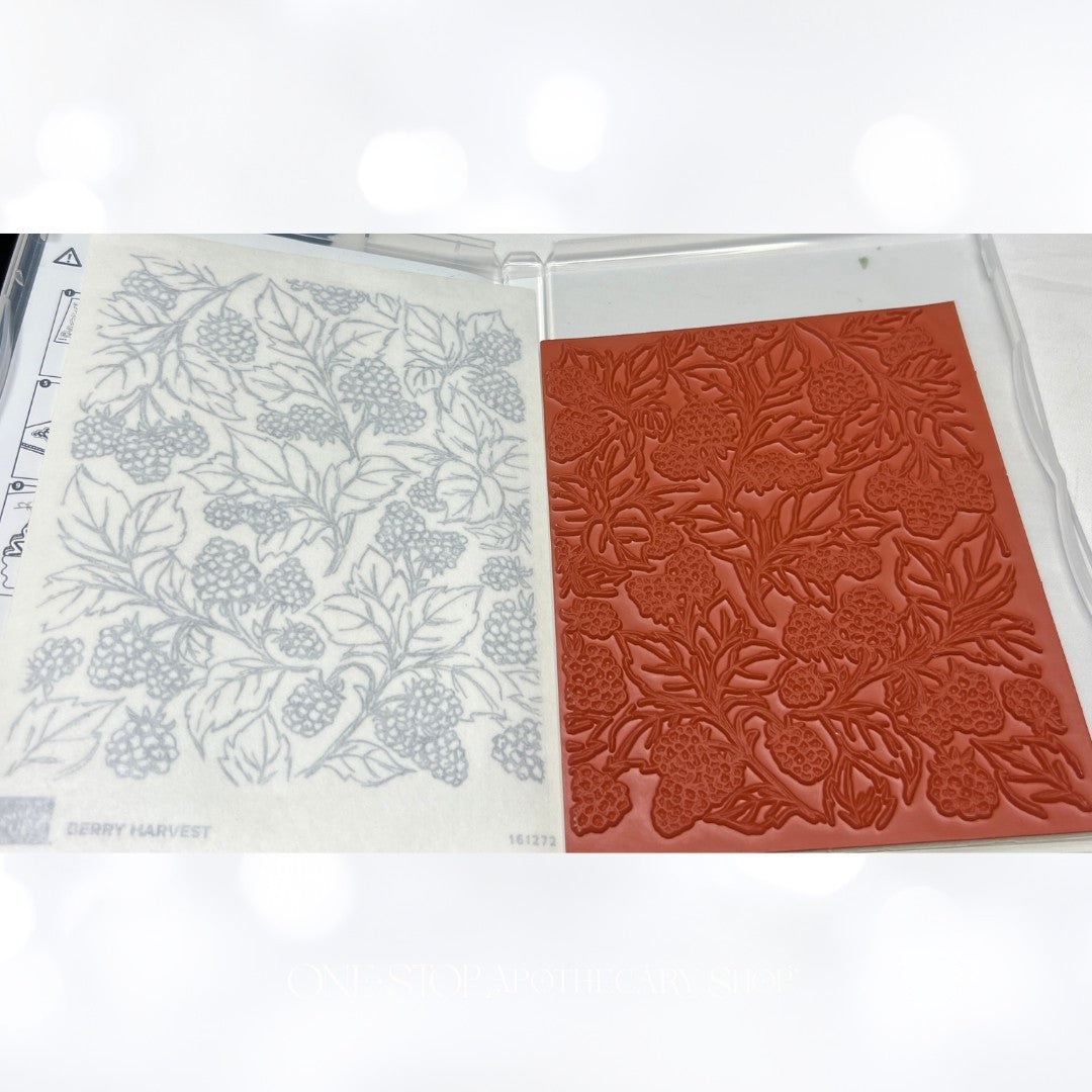 Stampin Up BERRY HARVEST Grapevine Fruit Background Rubber Stamp