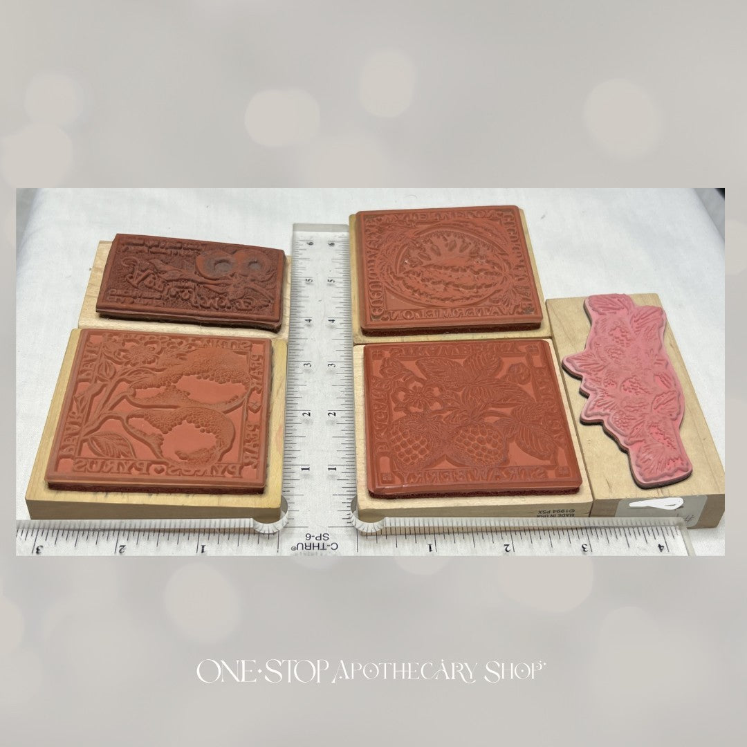 PSX River City BOTANICAL FRUIT Pear Apple Strawberry Rubber Stamps Lot