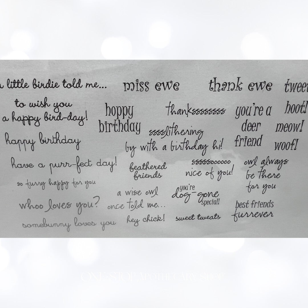 Amy R Stamps CRITTER SENTIMENTS Animal Sayings Funny Rubber Stamps