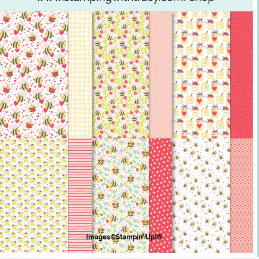 Stampin Up BEE MINE Valentines Day 12x12 DSP Cardstock Paper 12 Sheets
