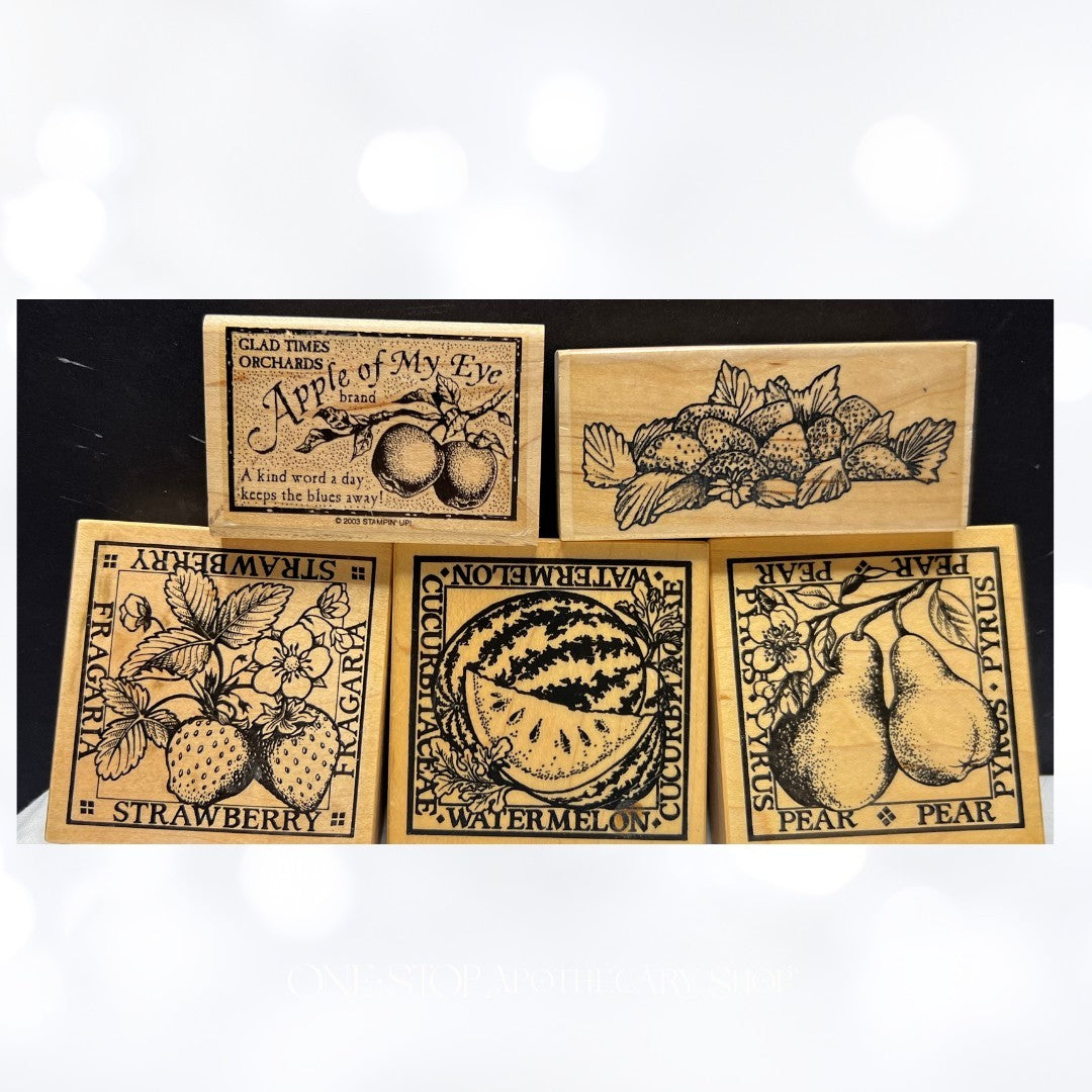 PSX River City BOTANICAL FRUIT Pear Apple Strawberry Rubber Stamps Lot