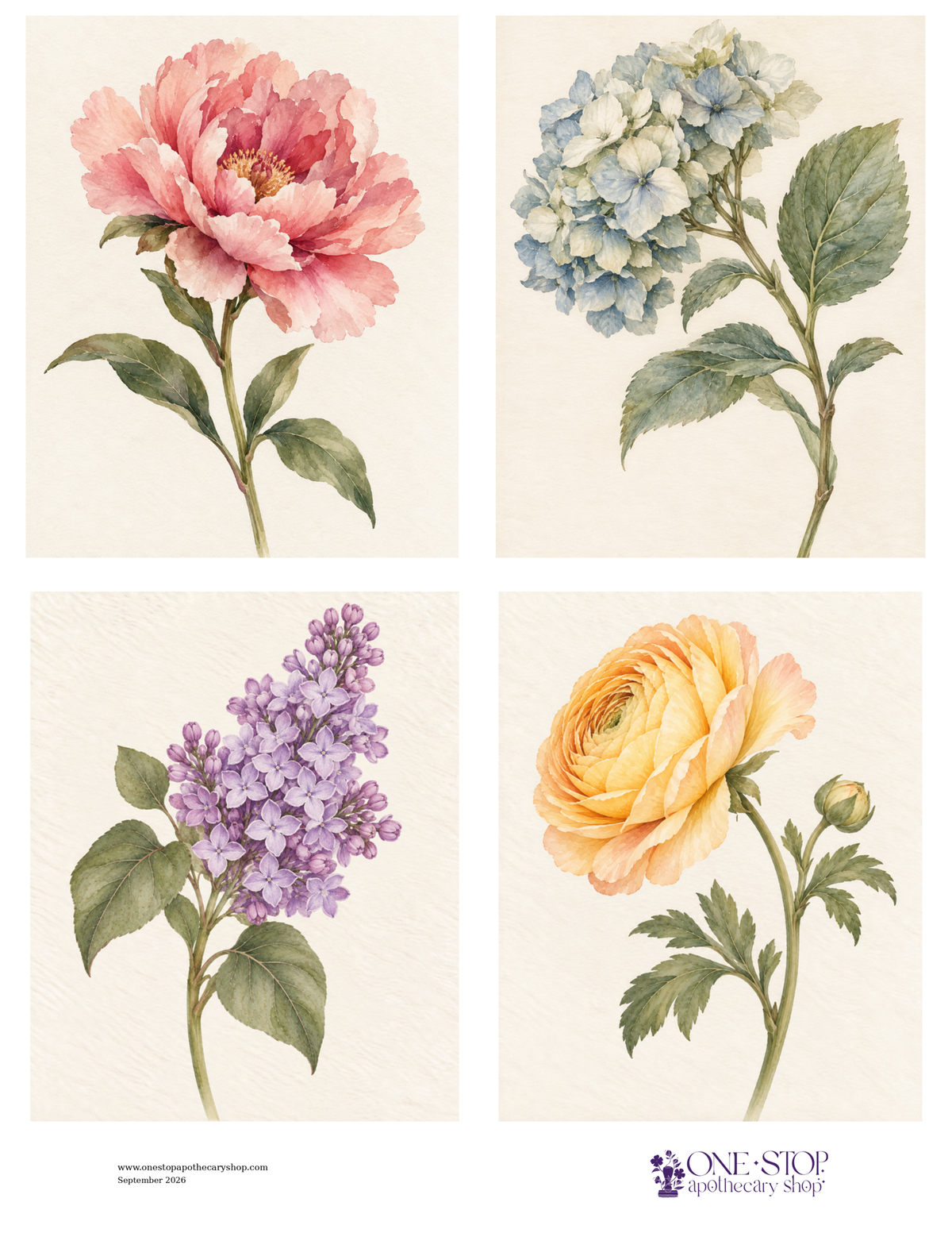 FADED PETALS Botanical Florals Rice Paper