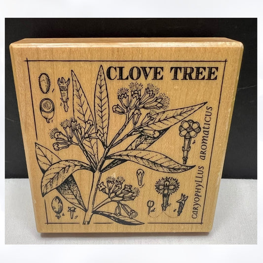 PSX CLOVE TREE Botanical G-3618 Rubber Stamp Rare