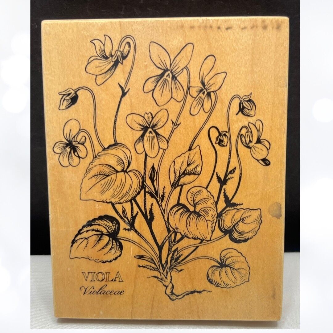 PSX VIOLA Botanical Floral Flowers K-037 Rubber Stamp