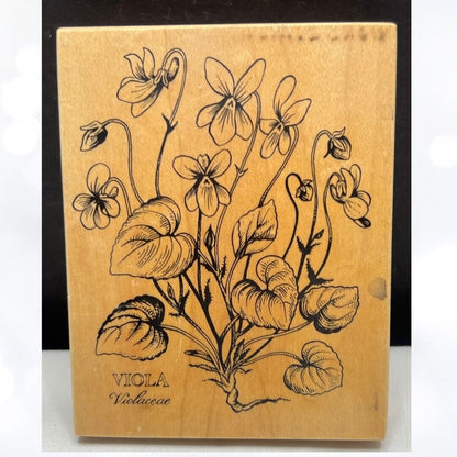 PSX VIOLA Botanical Floral Flowers K-037 Rubber Stamp
