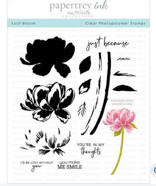 Papertrey ink LUSH BLOOMS Flowers Floral Sentiments Rubber Stamps Dies