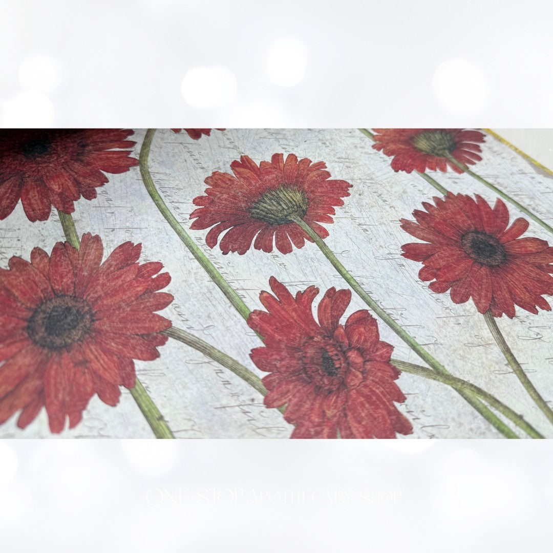 K & Company COTTAGE GARDEN Floral Dreams 12x12 Scrapbook Cardstock Paper Lot