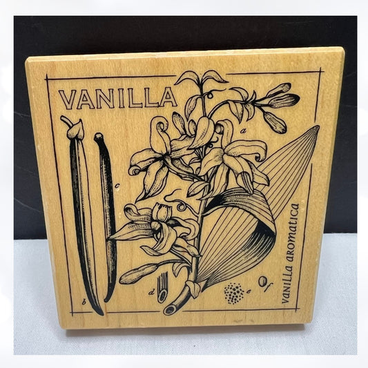 PSX VANILLA Botanical G-3617 Rubber Stamp Rare