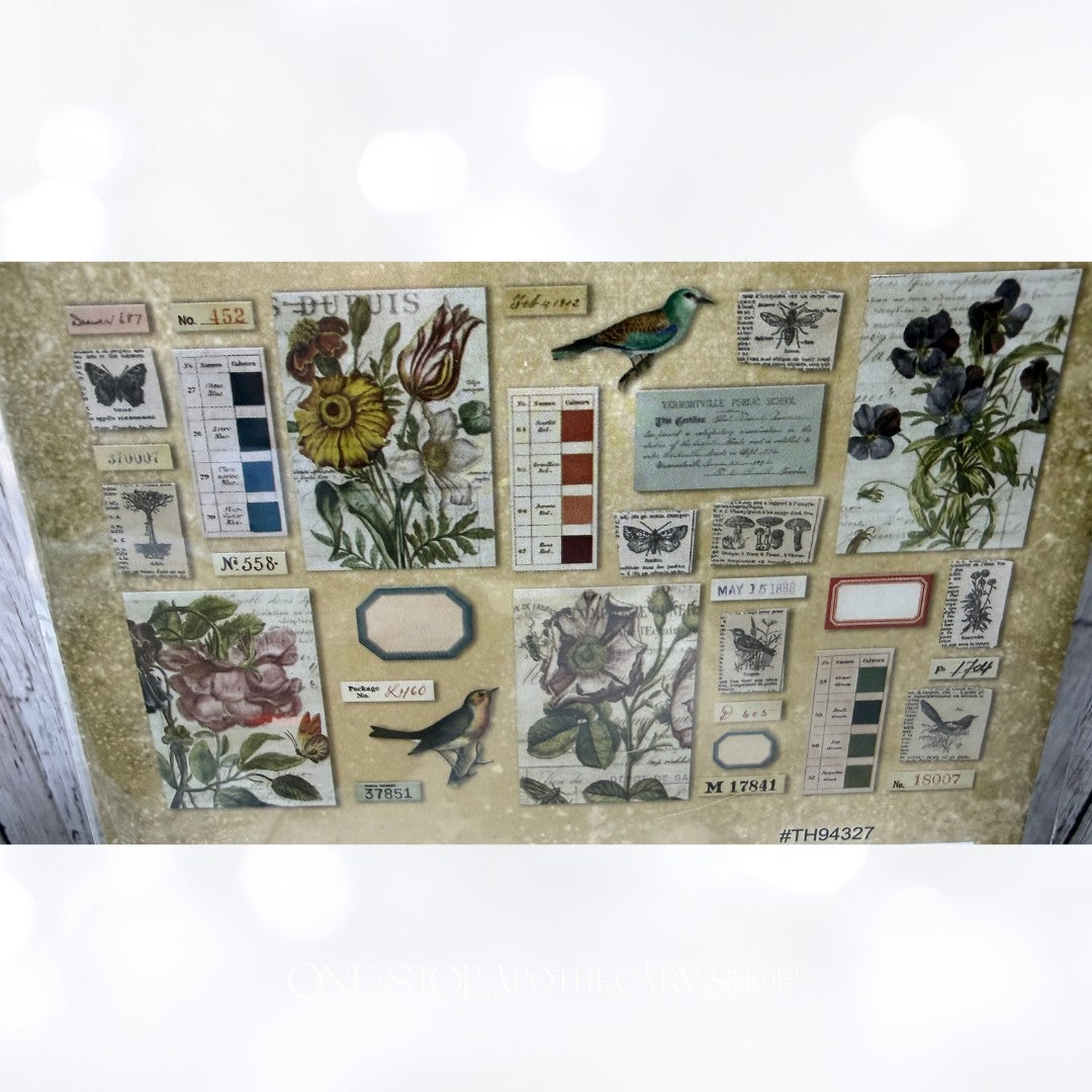 Tim Holtz Ideaology TRANSPARENT THINGS Rub Ons Speciment Embellishments Lot