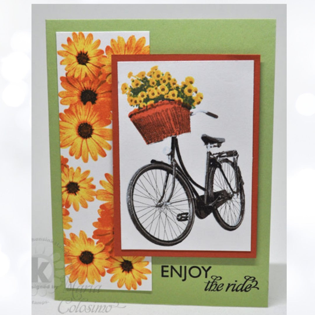 Kitchen Sink BICYCLE Bike Flowers 6x8 Layering Rubber Stamps
