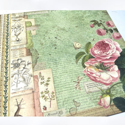 Stamperia SPRING BOTANIC Botanical 12x12 Cardstock Paper Lot of 2