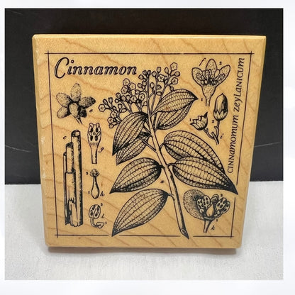 PSX CINNAMON Botanical G-3616 Rubber Stamp