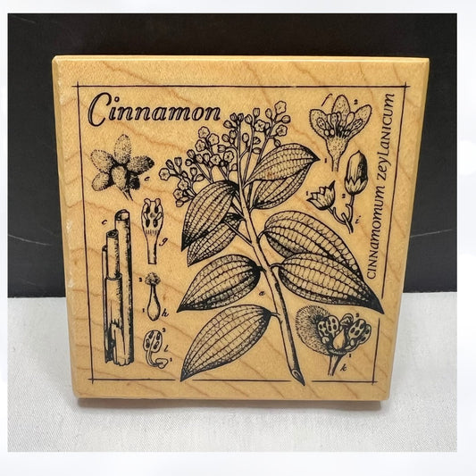 PSX CINNAMON Botanical G-3616 Rubber Stamp
