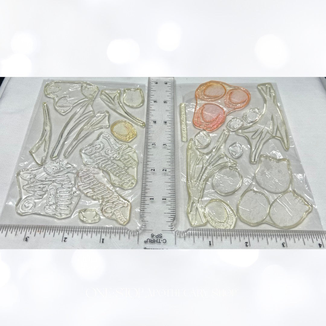 Papertrey Ink TULIP TIME Flowers Spring Rubber Stamps Dies