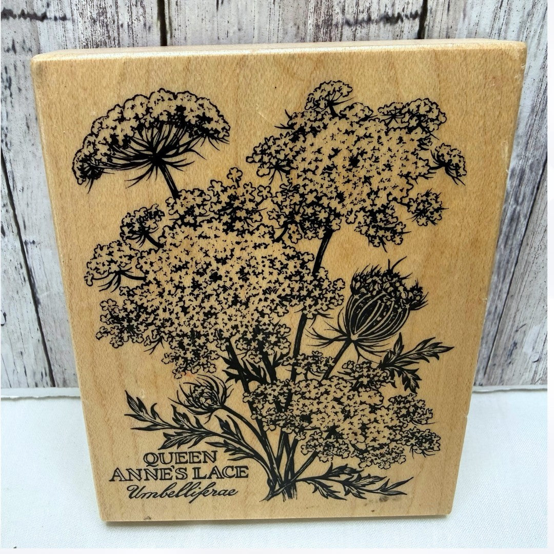 PSX Designs QUEEN ANNE'S LACE Botanical Floral Flowers K-2048 Rubber Stamp
