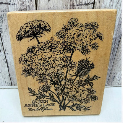 PSX Designs QUEEN ANNE'S LACE Botanical Floral Flowers K-2048 Rubber Stamp