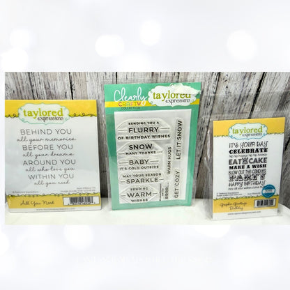 Taylored Expressions GET COZY Greetings Birthday Christmas Rubber Stamps Lot