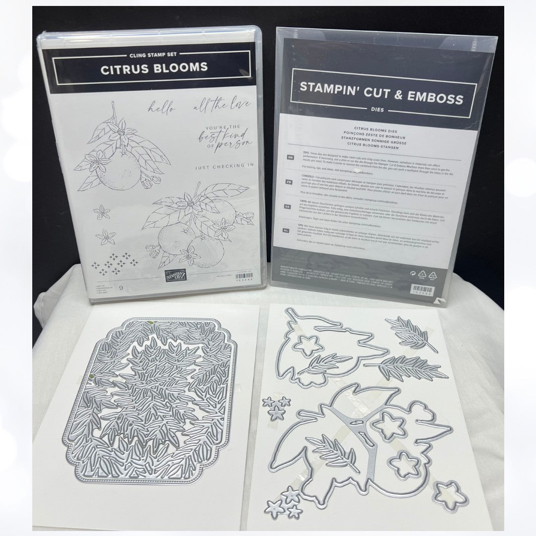 Stampin Up CITRUS BLOOMS Oranges Fruit Rubber Stamps Dies