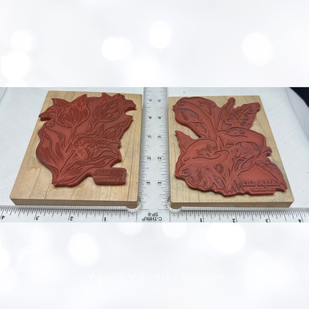 PSX BOTANICAL FLOWERS Floral Lily Iris Tulip Poinsettia Rubber Stamps Lot of 4