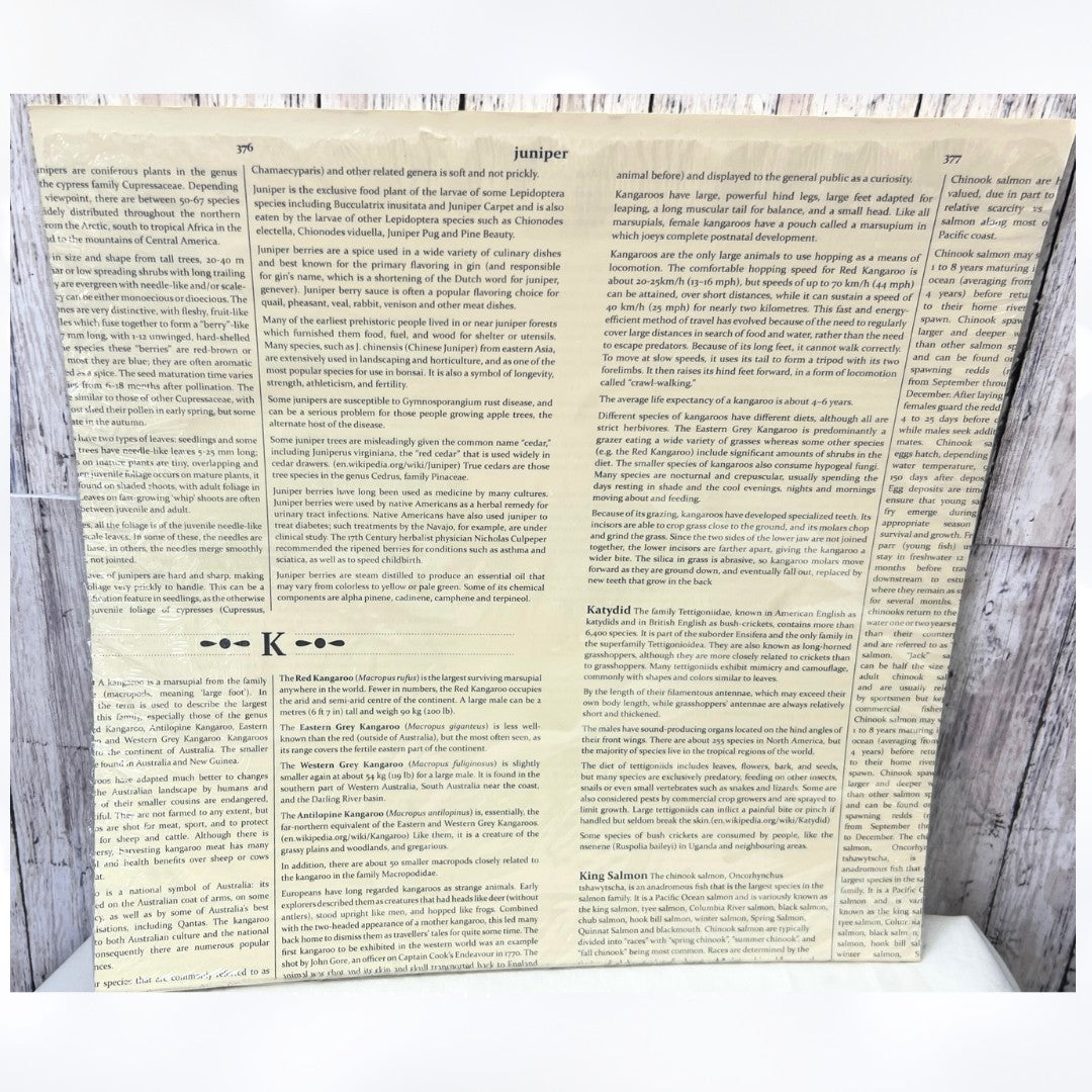 Stampin Up FIRST EDITION 12x12 Paper Cardstock DSP 20 Sheets