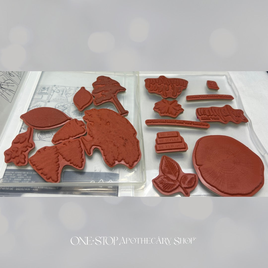 Stampin Up ROOTED IN NATURE Trees Roots Rubber Stamps Framelits Dies