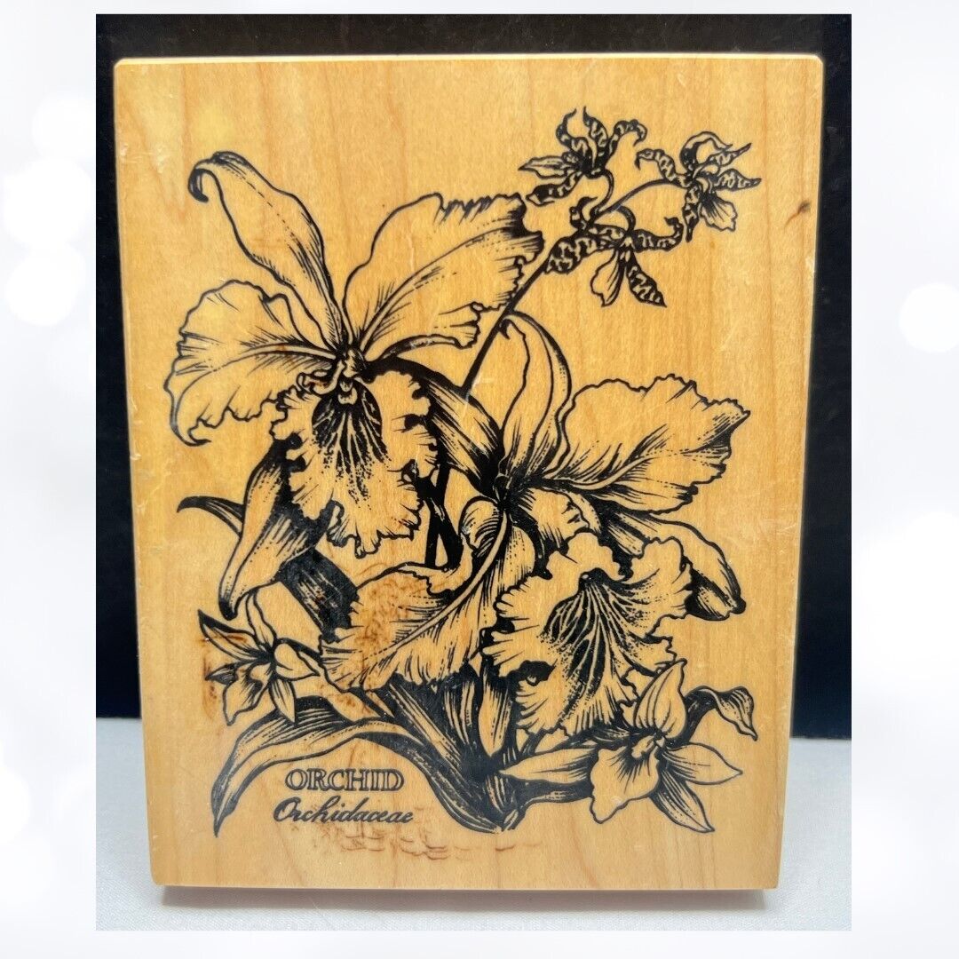 PSX ORCHID Botanical Floral Flowers K-1441 Rubber Stamp