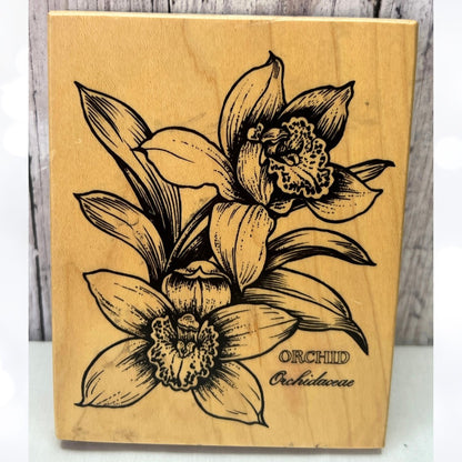 PSX ORCHID Botanical Flower Floral K-565 Rubber Stamp