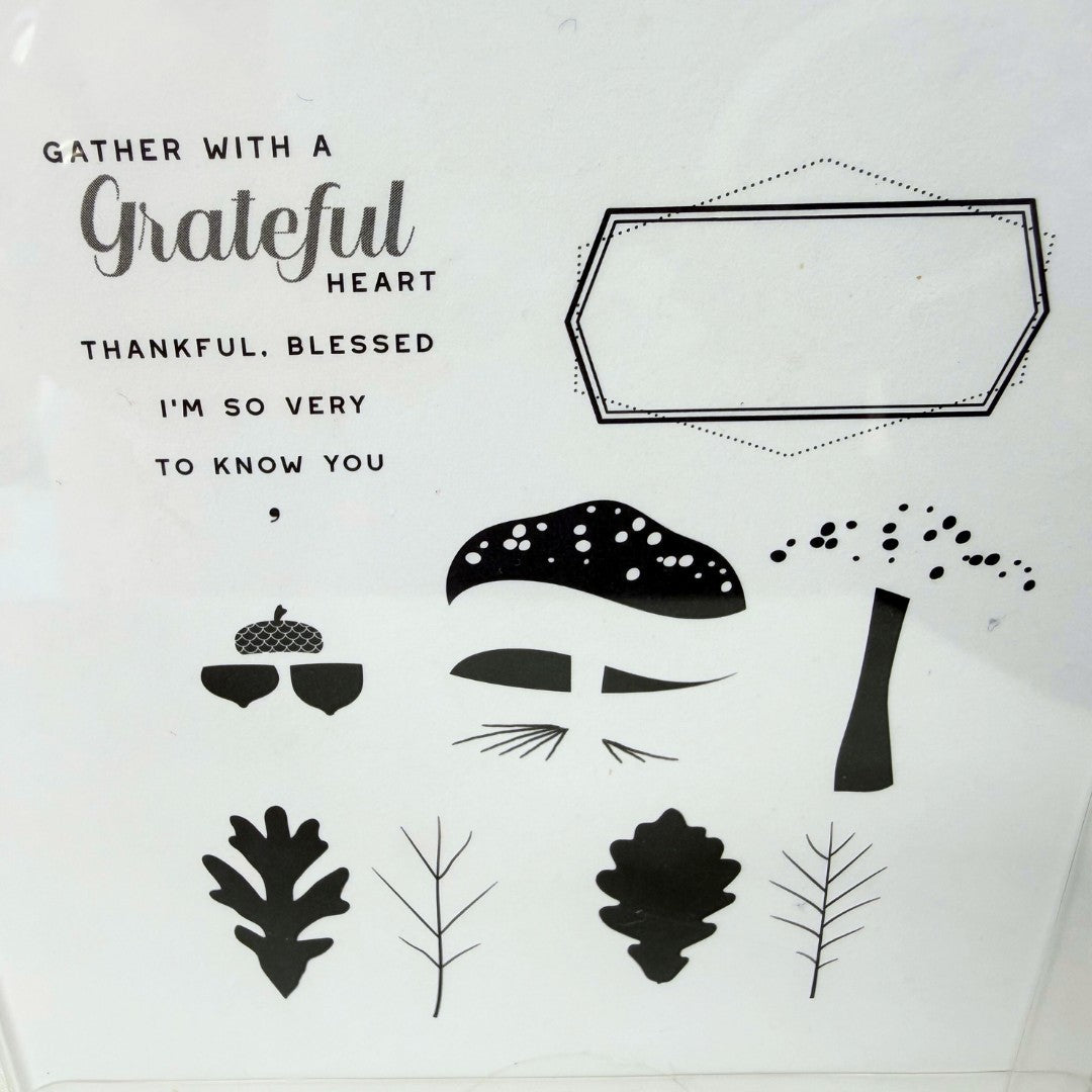 Papertrey Ink FOREST FLOOR AUTUMN Mushrooms Fall Rubber Stamps