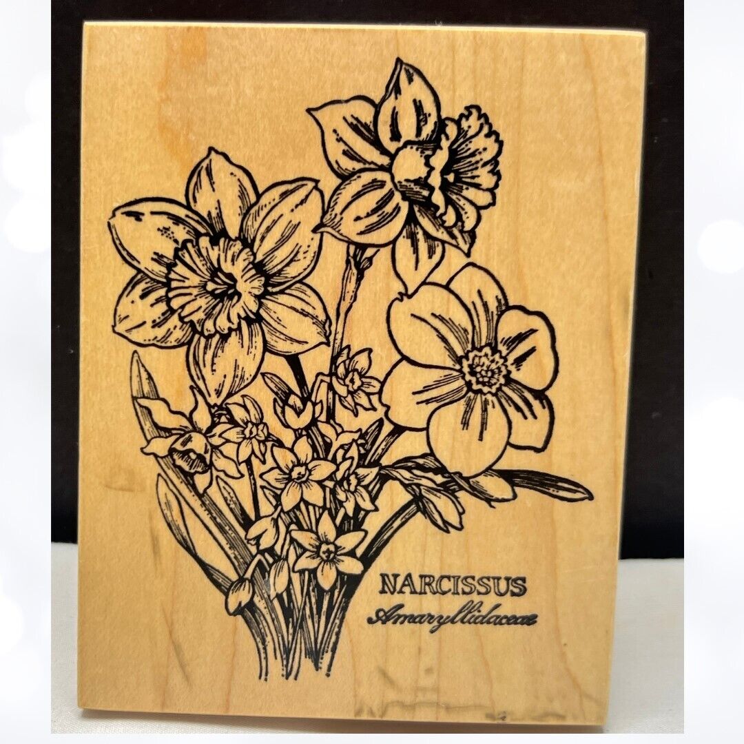 PSX NARCISSUS Botanical Flowers Floral K-1282 Rubber Stamp