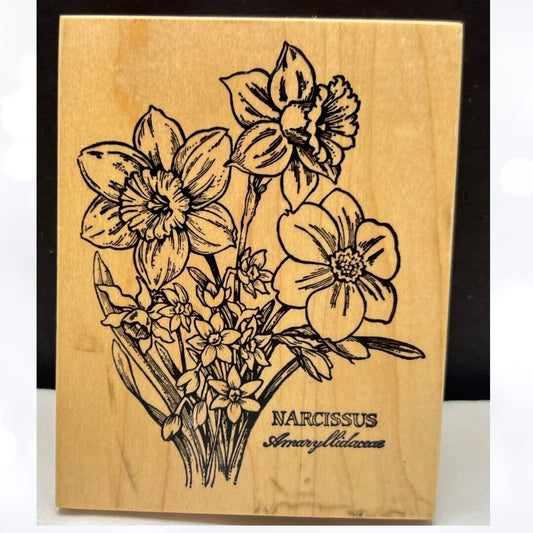 PSX NARCISSUS Botanical Flowers Floral K-1282 Rubber Stamp