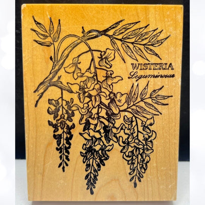 PSX WISTERIA Botanical Floral Flowers K-648 Rubber Stamp