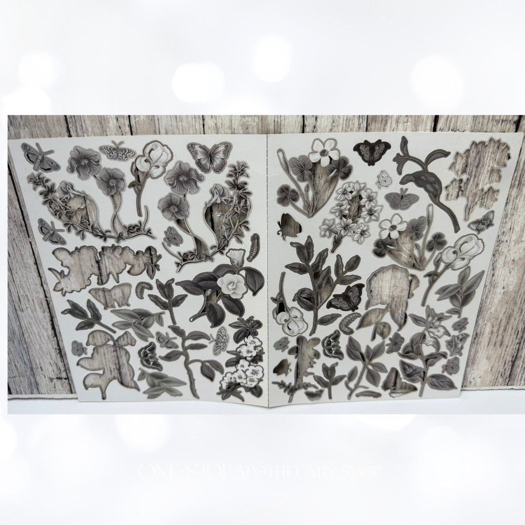 49 & Market CHARCOAL 12x12 Paper Ephemera Frames Die Cuts Collection Kit