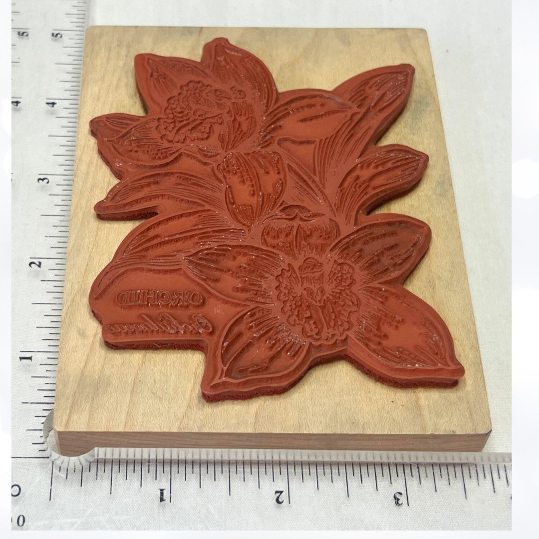 PSX ORCHID Botanical Flower Floral K-565 Rubber Stamp